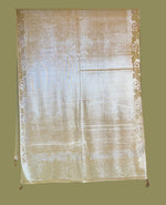 Exquisite Velvet stole with Swarovski work| Elegance for Winter – Famaza Couture