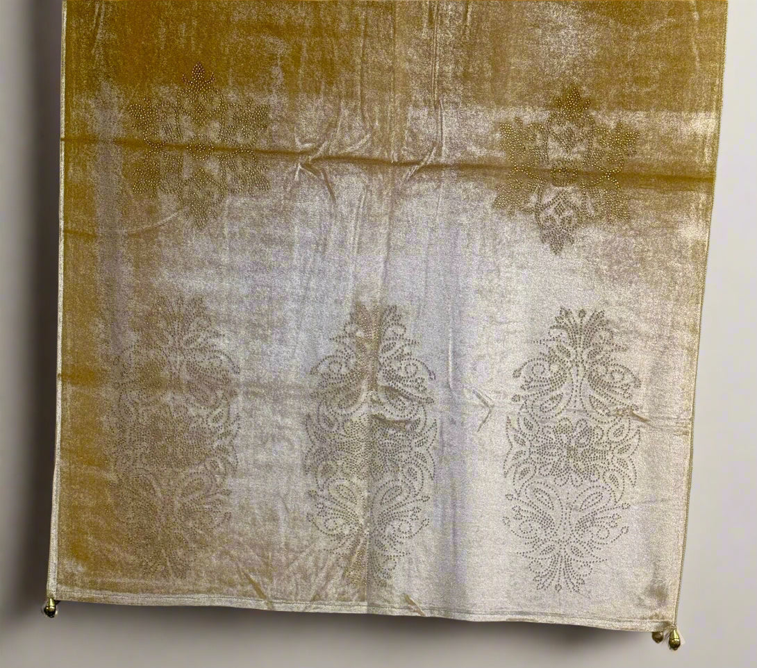 Exquisite Velvet stole with Swarovski work| Elegance for Winter – Famaza Couture