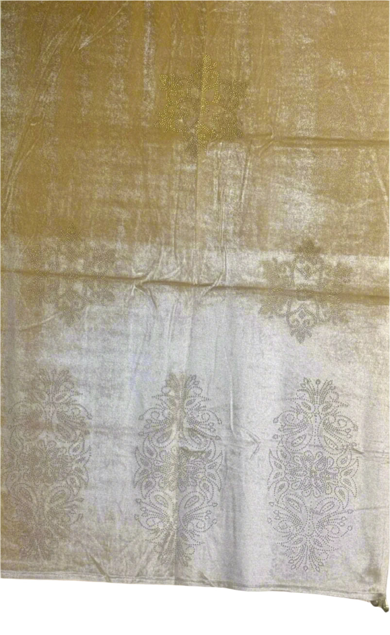 Exquisite Velvet stole with Swarovski work| Elegance for Winter – Famaza Couture