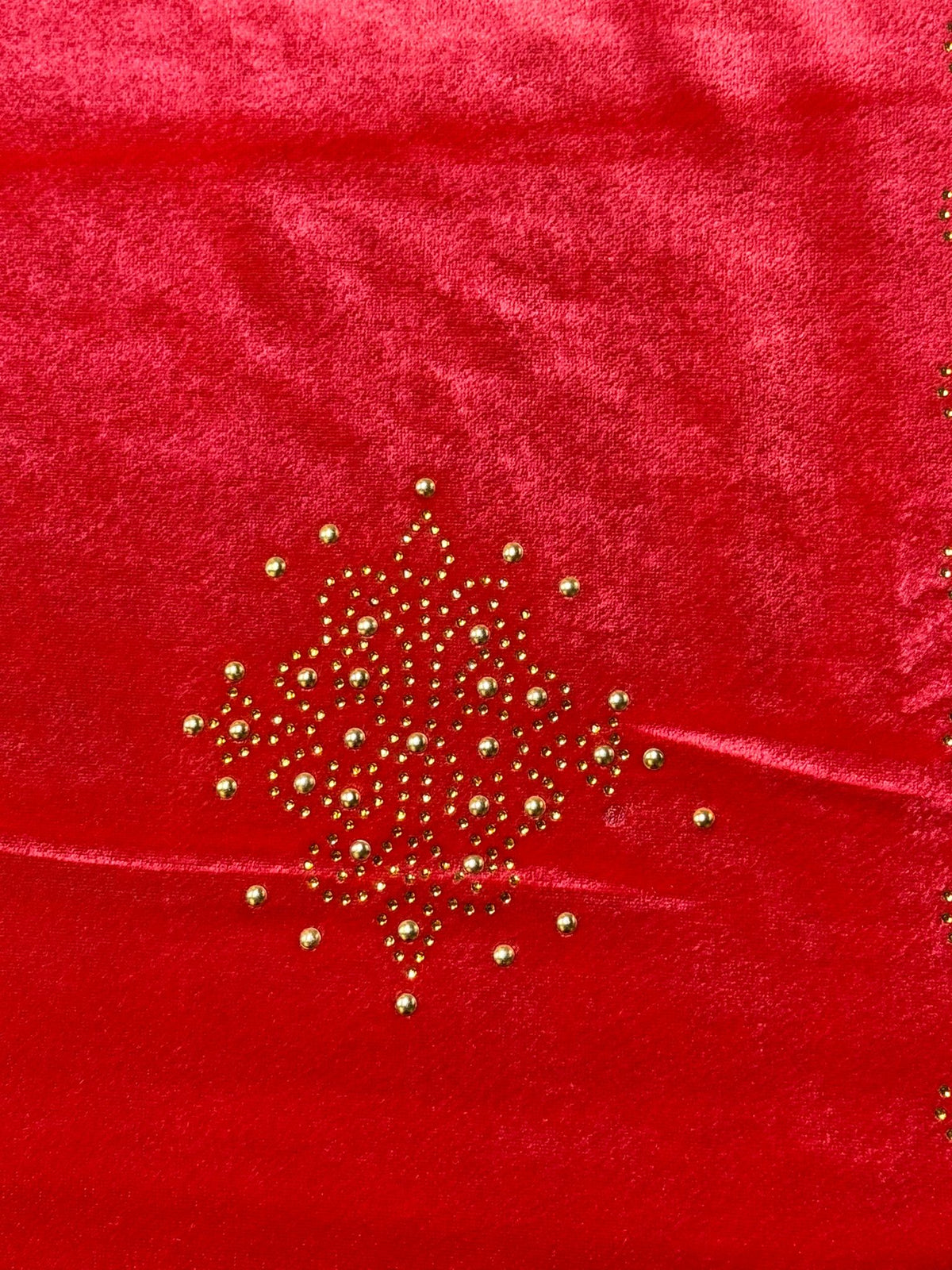 Exquisite Velvet stole with Swarovski work| Elegance for Winter – Famaza Couture