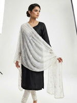 The model is displaying the white chiffon dupatta with Kashmiri aari jaal embroidery all over the dupatta.