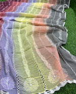 multi colour kota doriya chikankari duppata