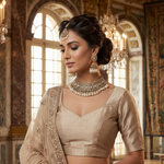 Woman in traditional attire with jewelry in an ornate room